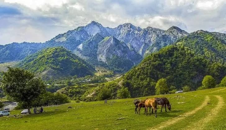 Gabala Tour photo 2